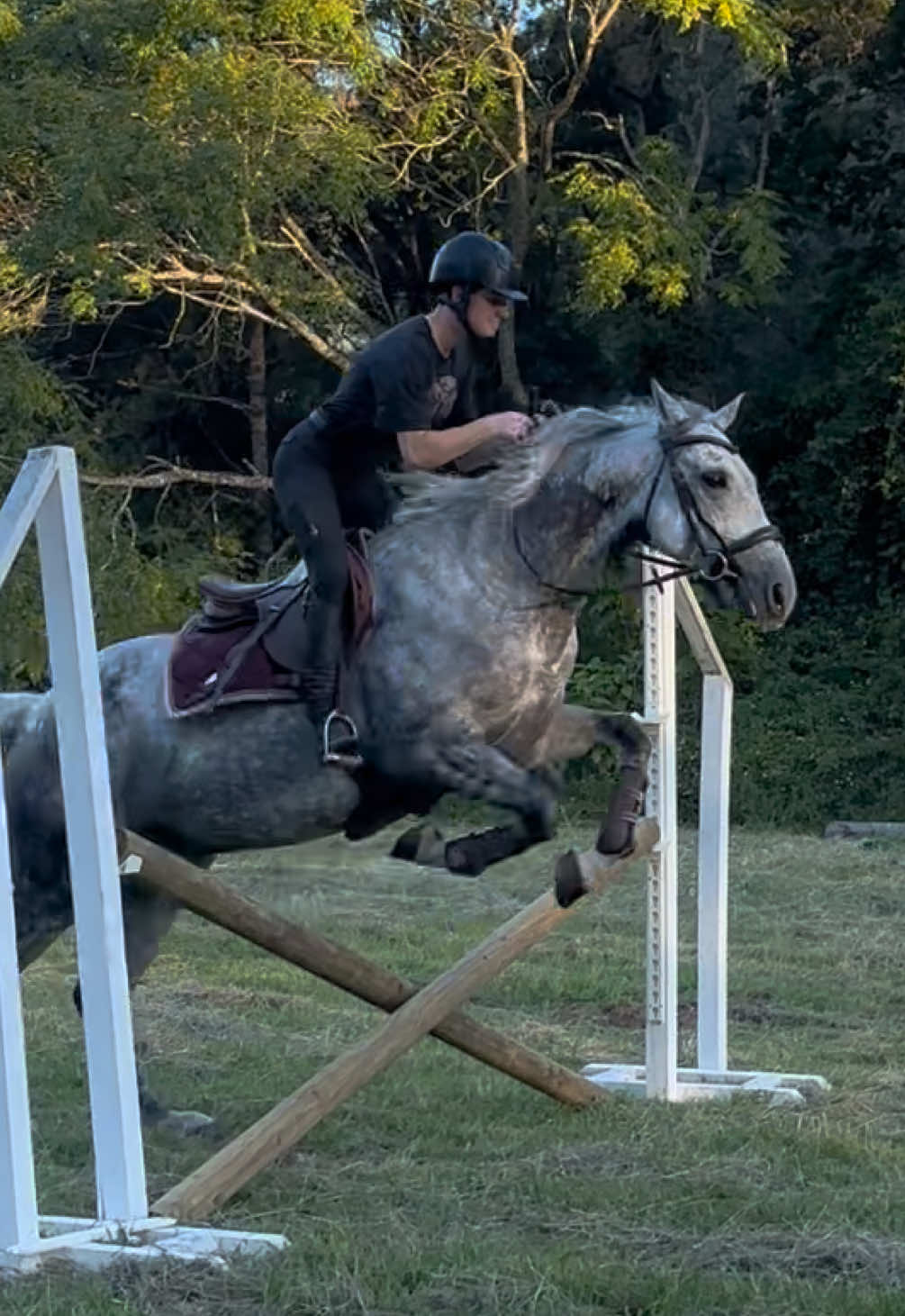 @Double F Performance Horses