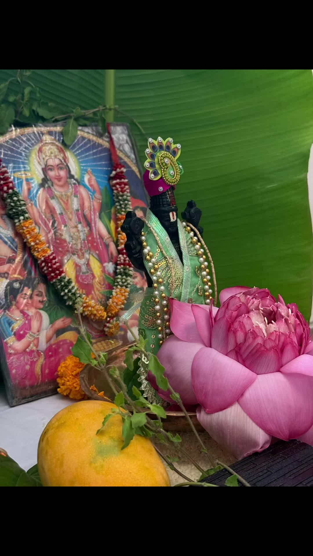@Mayur Bhatt _Hindu Priest