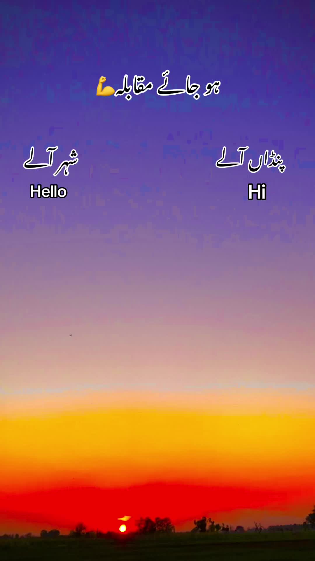 @🌾🌱پنجابی کلچر 🌾🌱