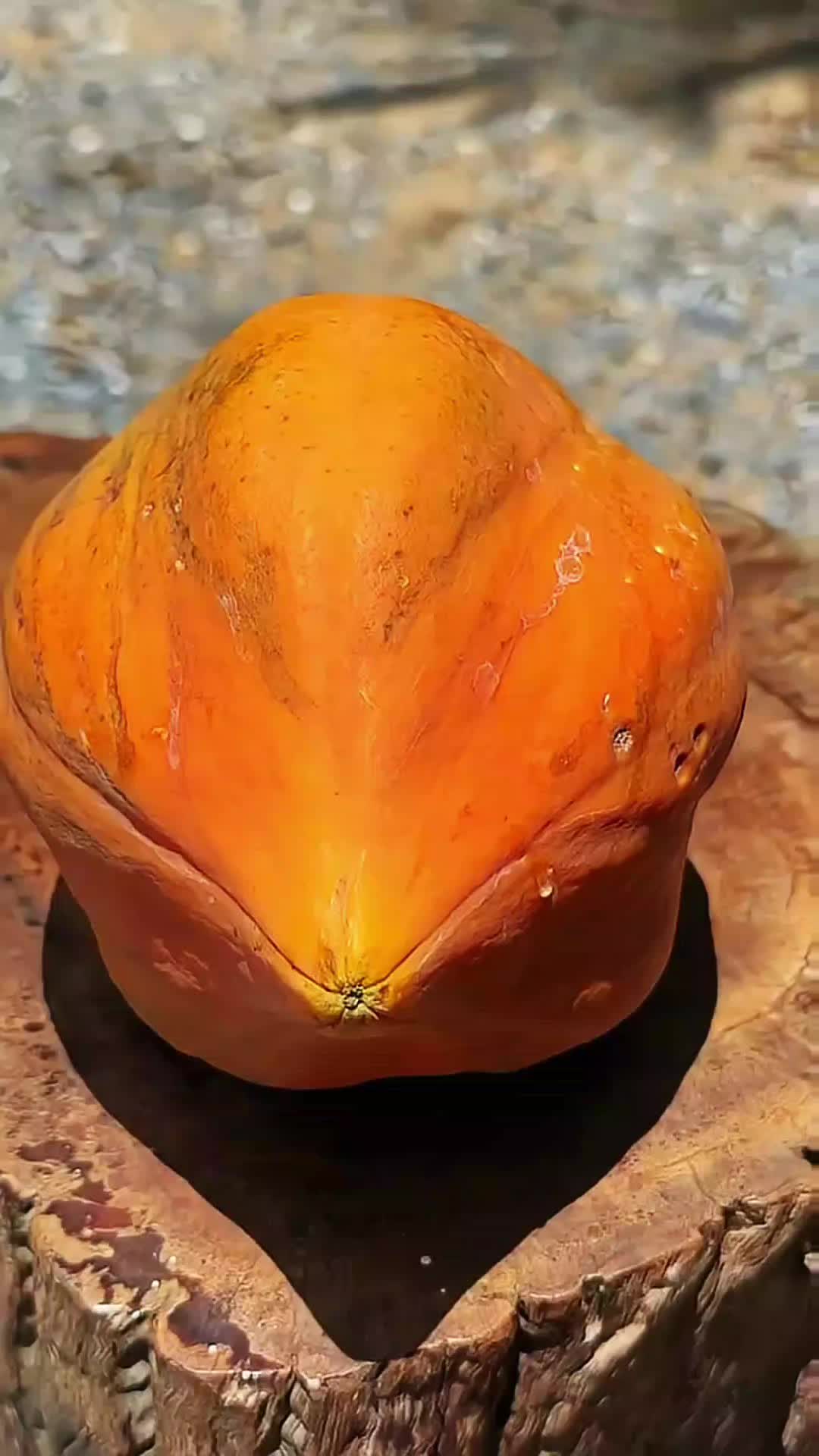 @◉‿◉