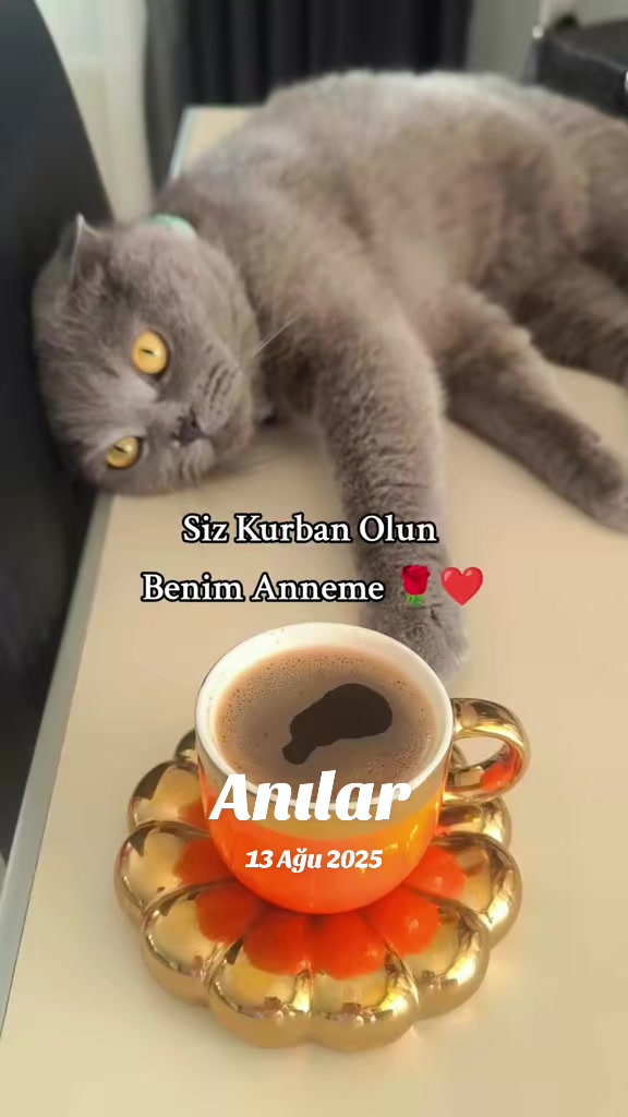 @gül_ygt34