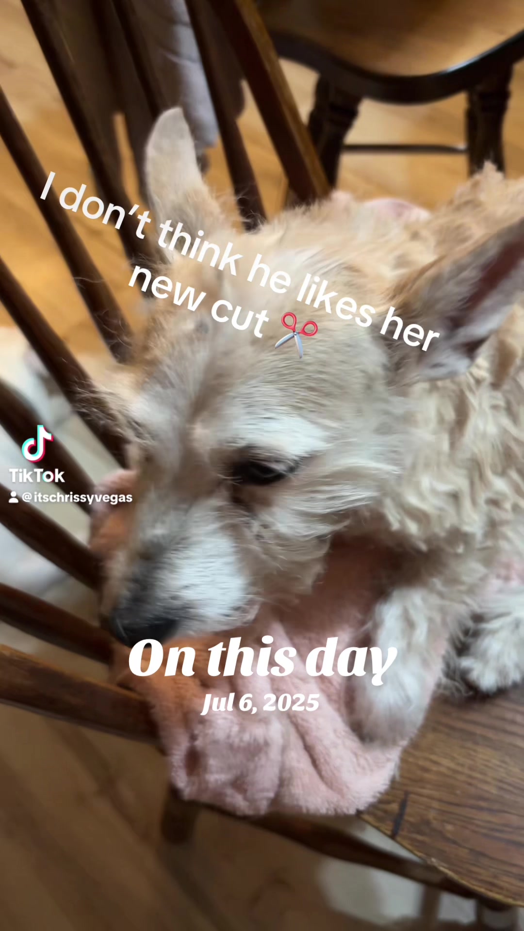 @chrissyvegas702