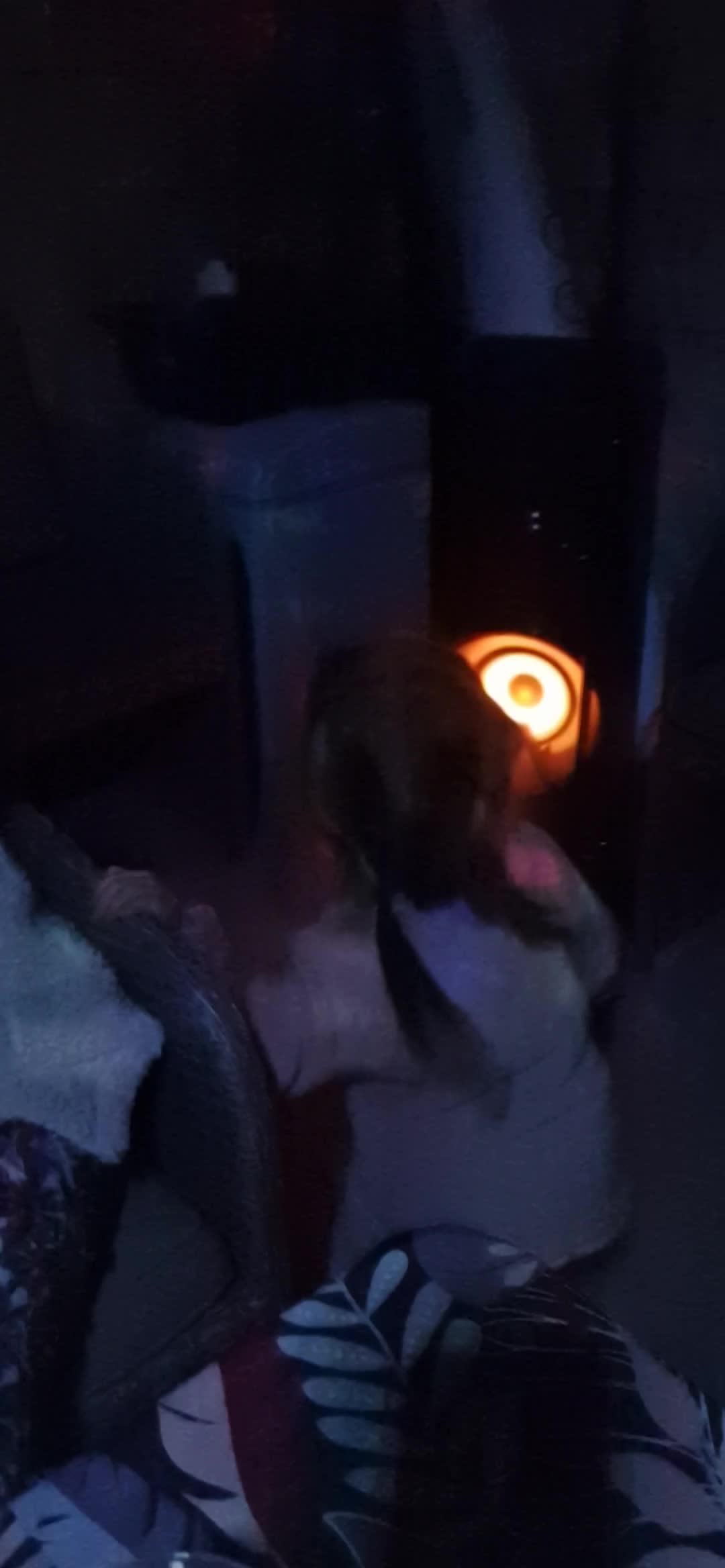 @CARO 2.0