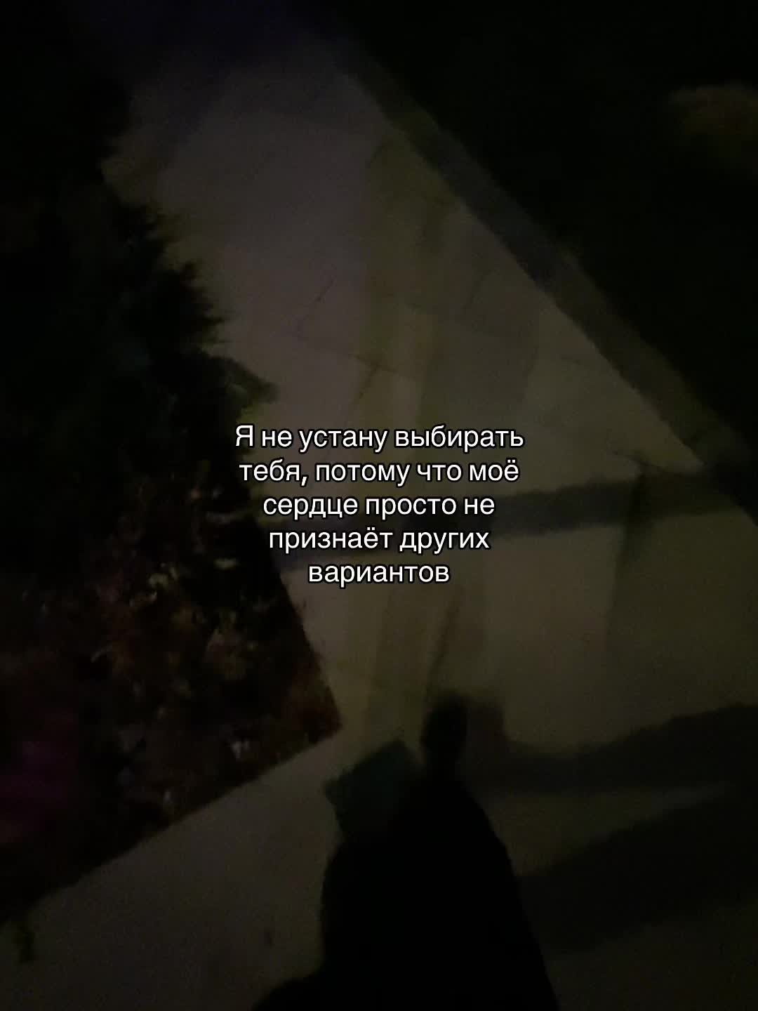 @Jaloliddinov 🥂