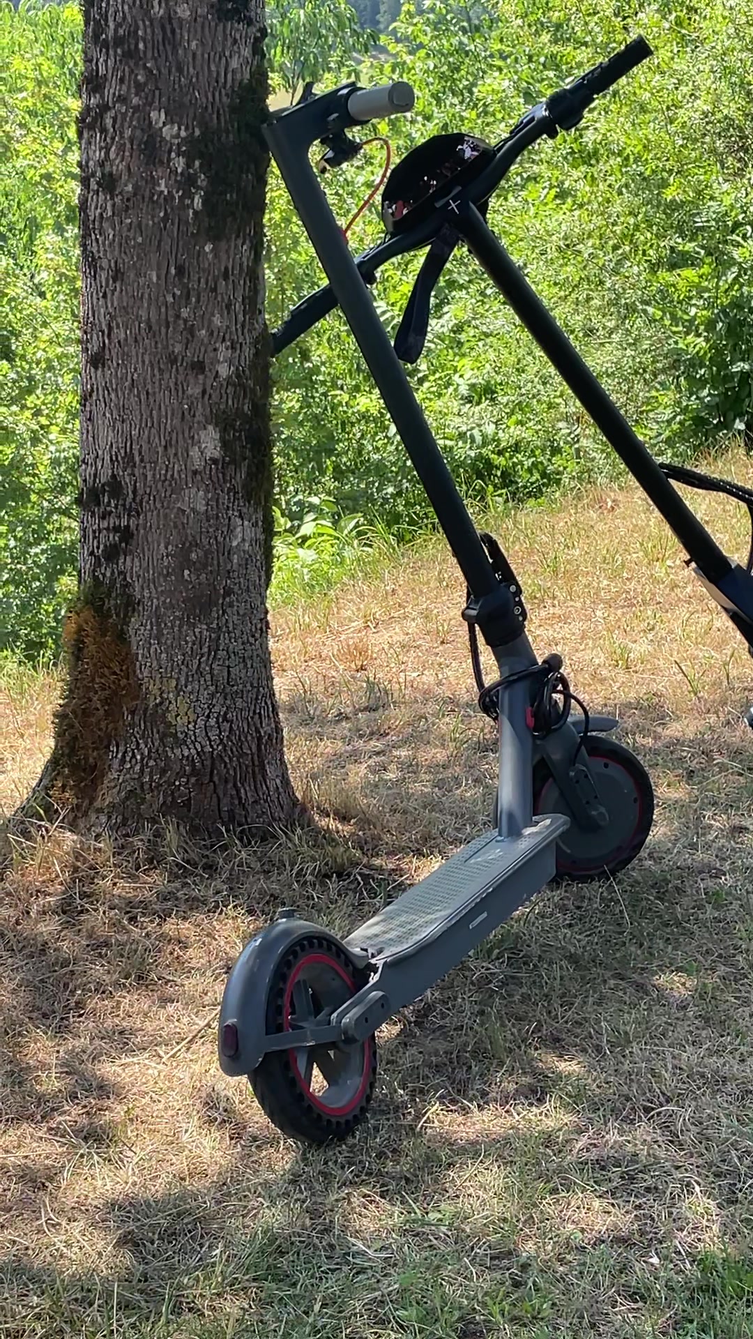 @LG2🛴🧼