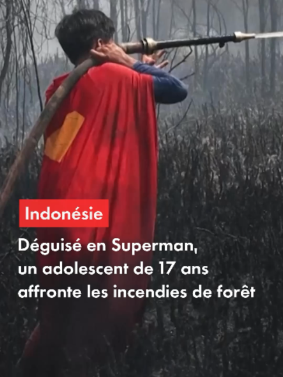 @CNEWS