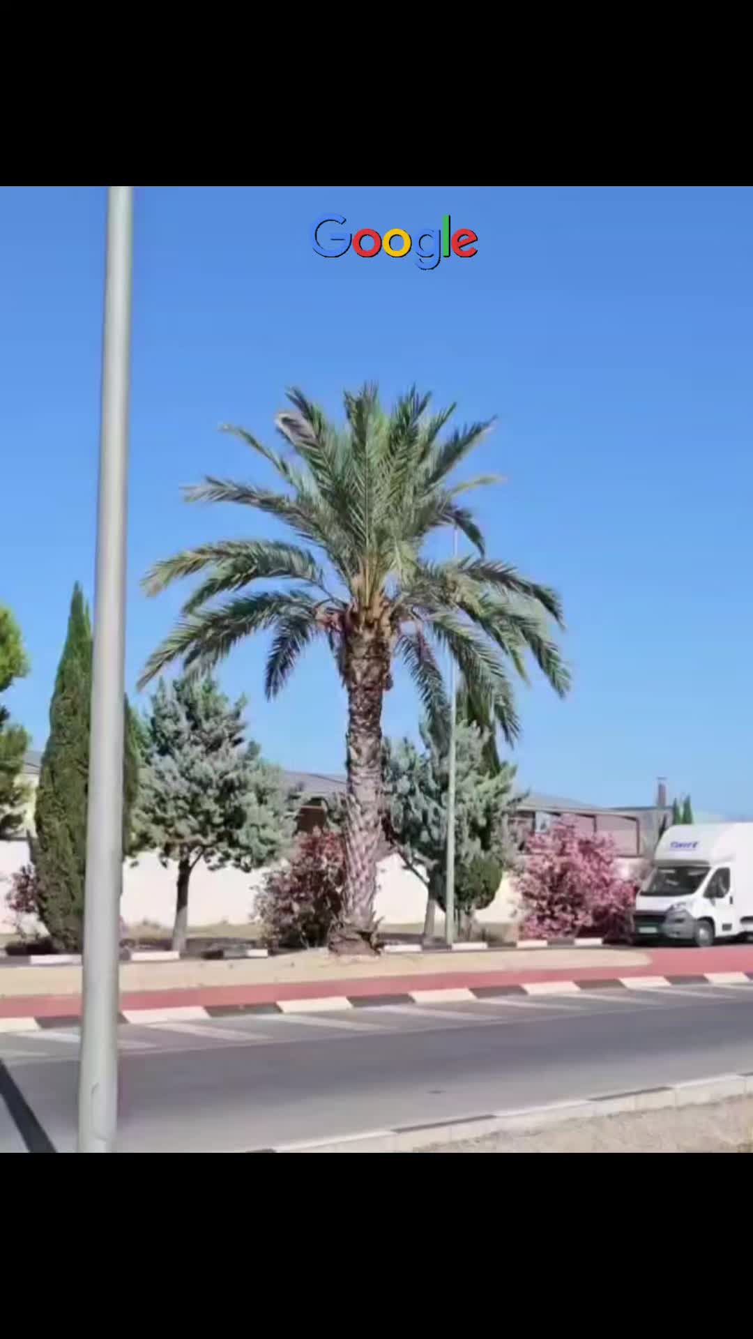 @swiftremovals