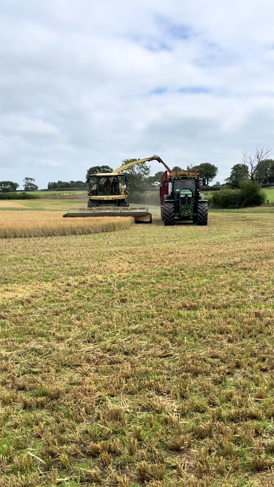 @HariWhitfield 🏴🚜