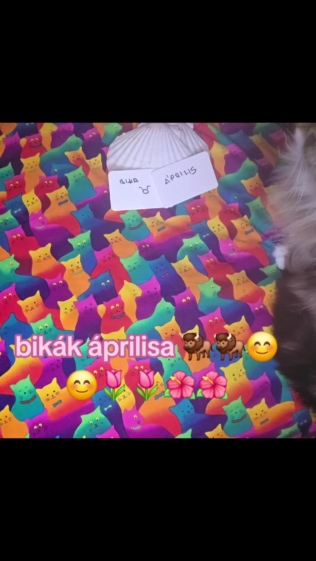 @szakr&aacute;lis var&aacute;zs