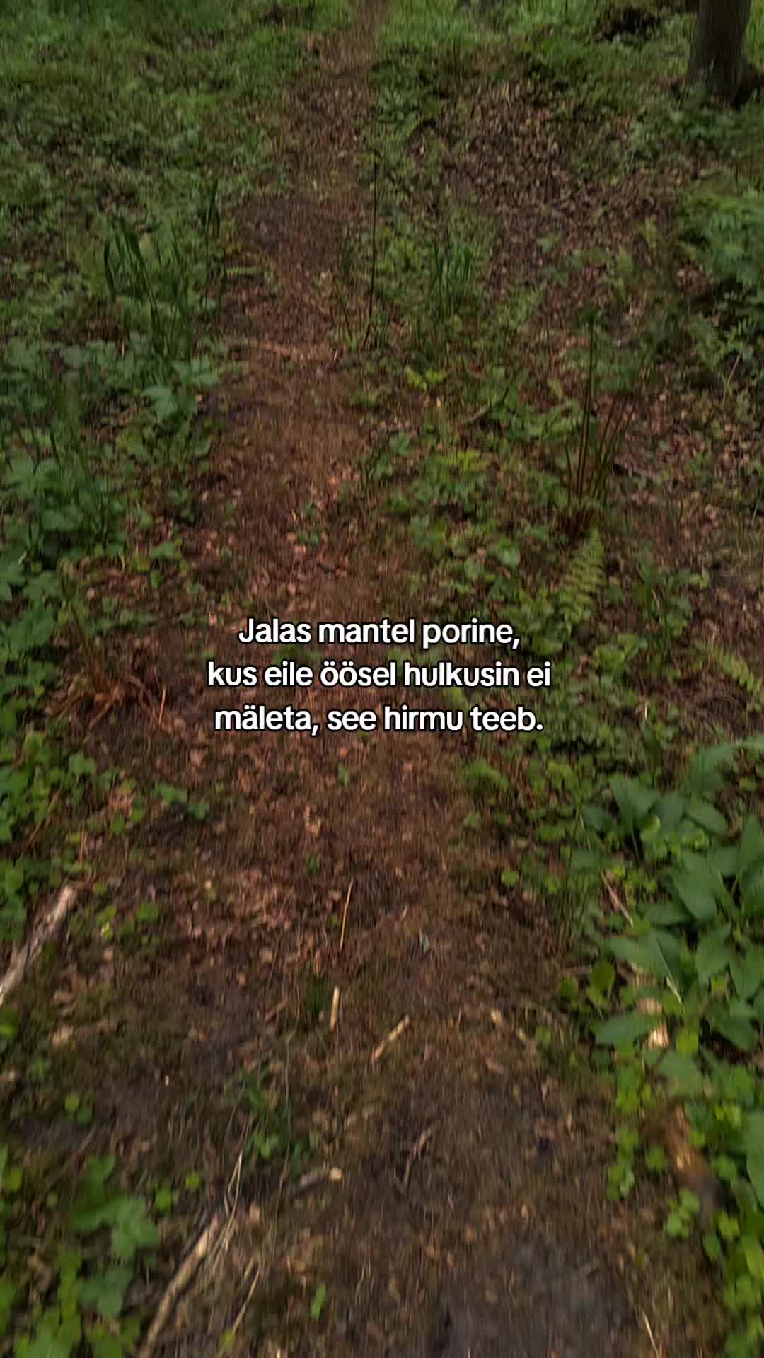 @M.Tsoi.fp