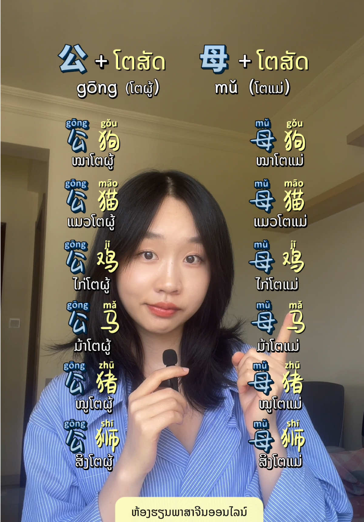 @YaYa Chinese 呀呀中文