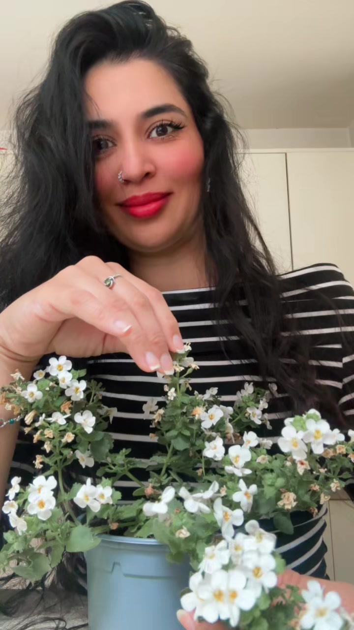 @pearl333tiktok