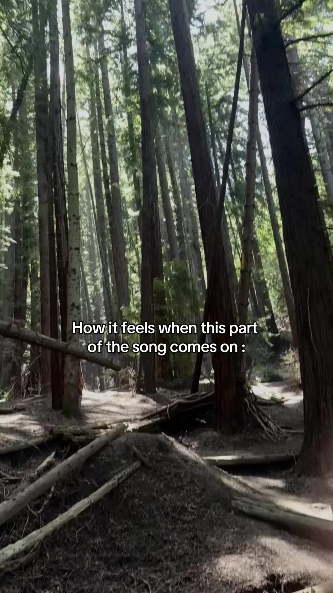 @W