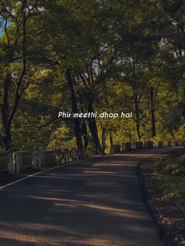 @ᶻᵘⁿⁱⁱ~