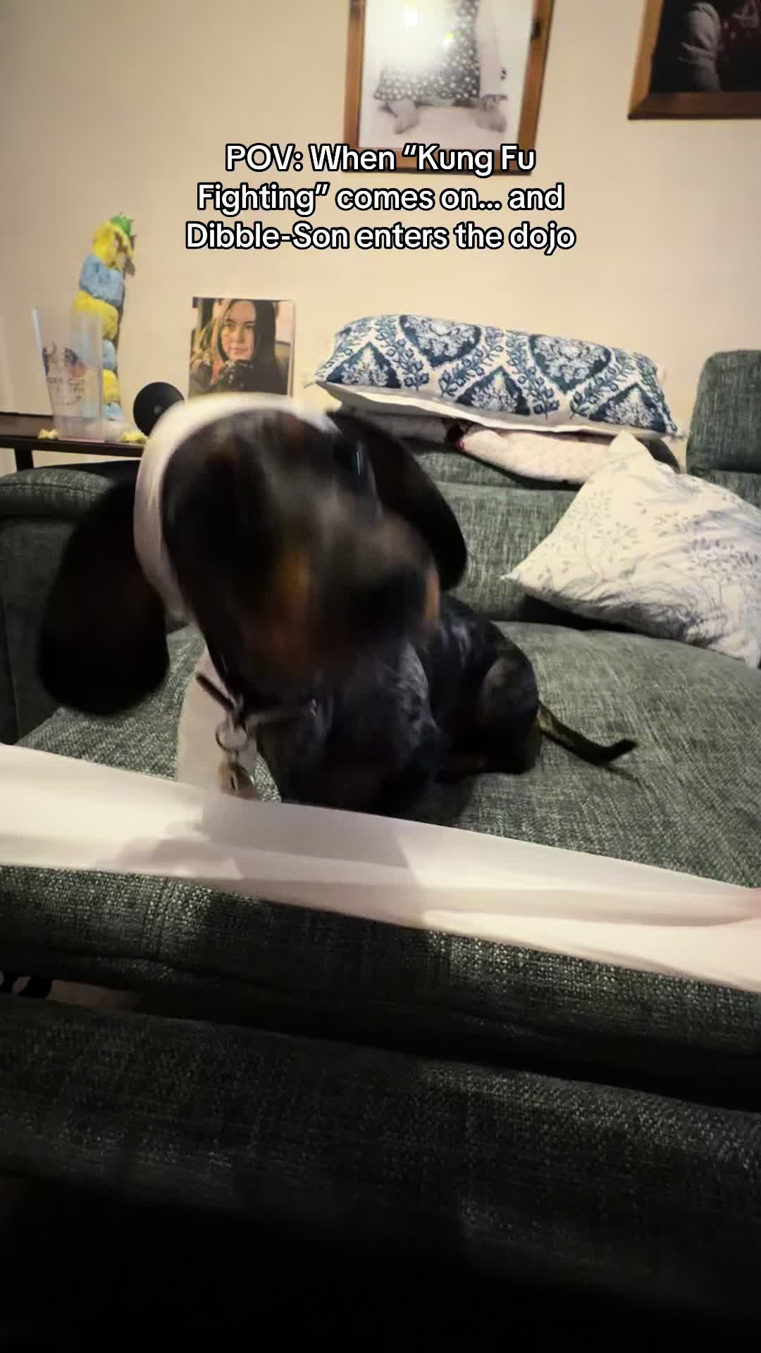 @dibblydobbly_dax