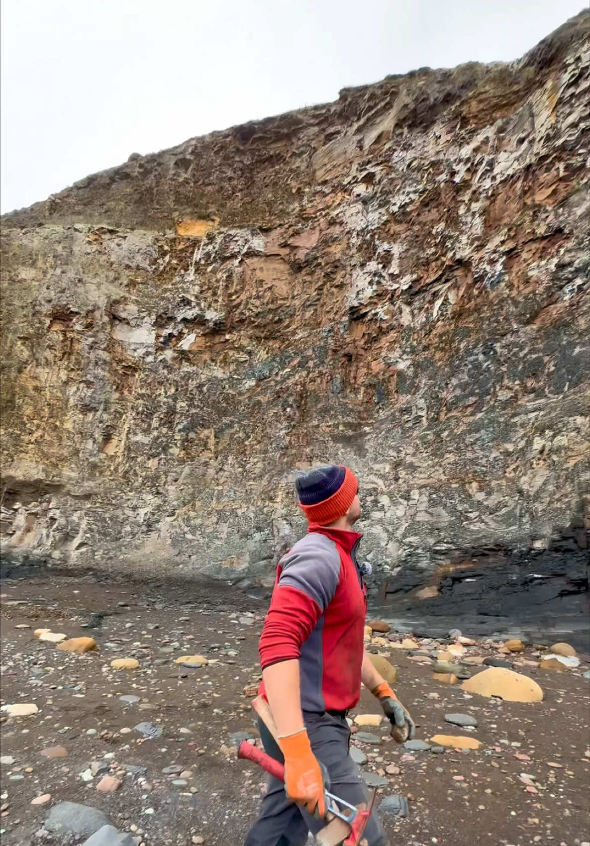 @yorkshire.fossils