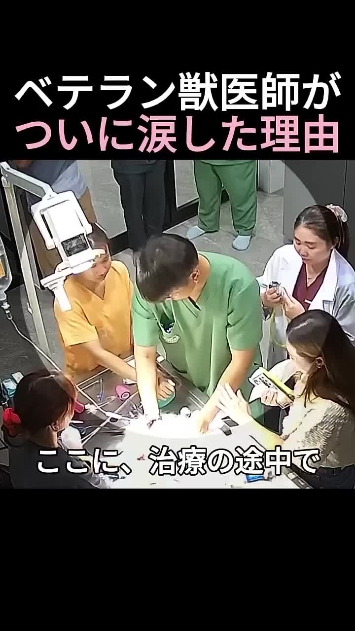 @5qpjptro