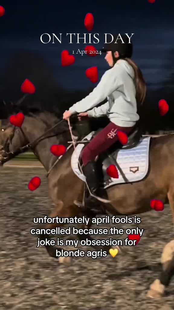 @ell 🌾🐴