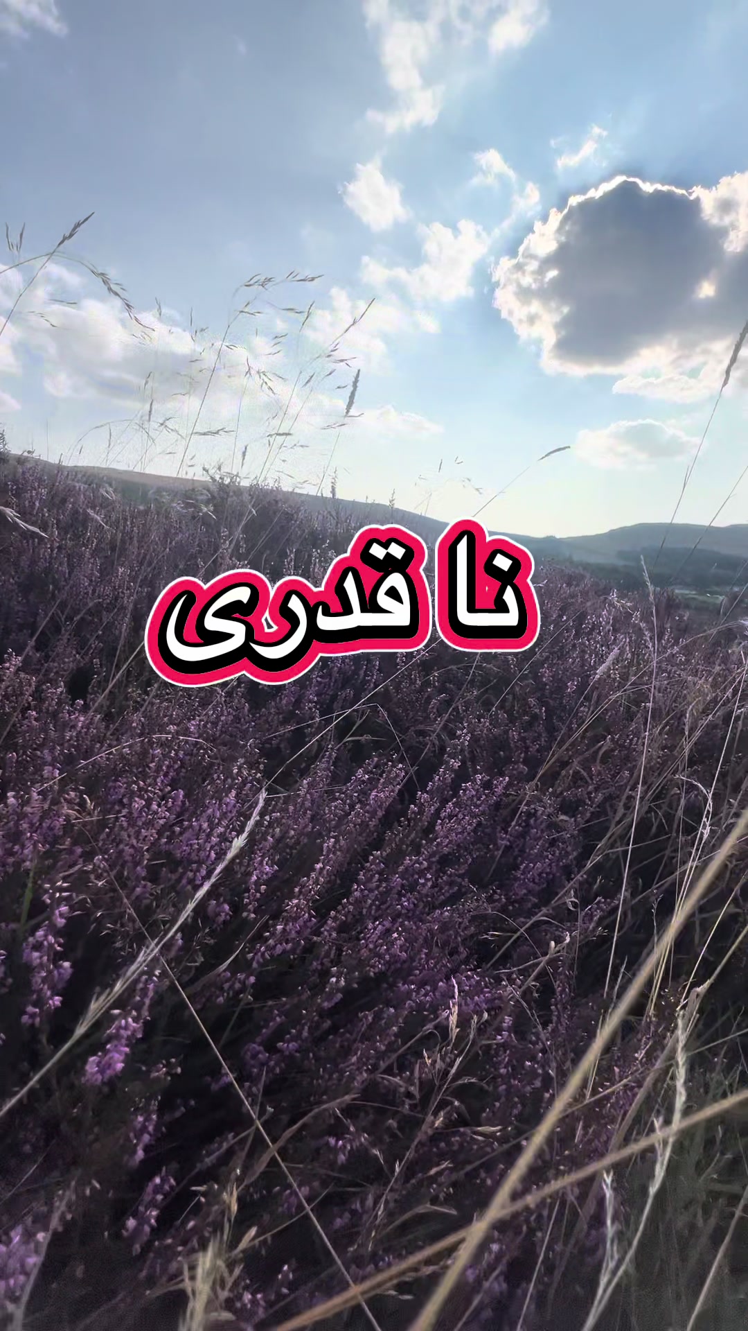 @֎✵𝕦𝕟𝕚ℚ𝕦𝕖۞𝔸𝕥𝕥𝕚✵֎