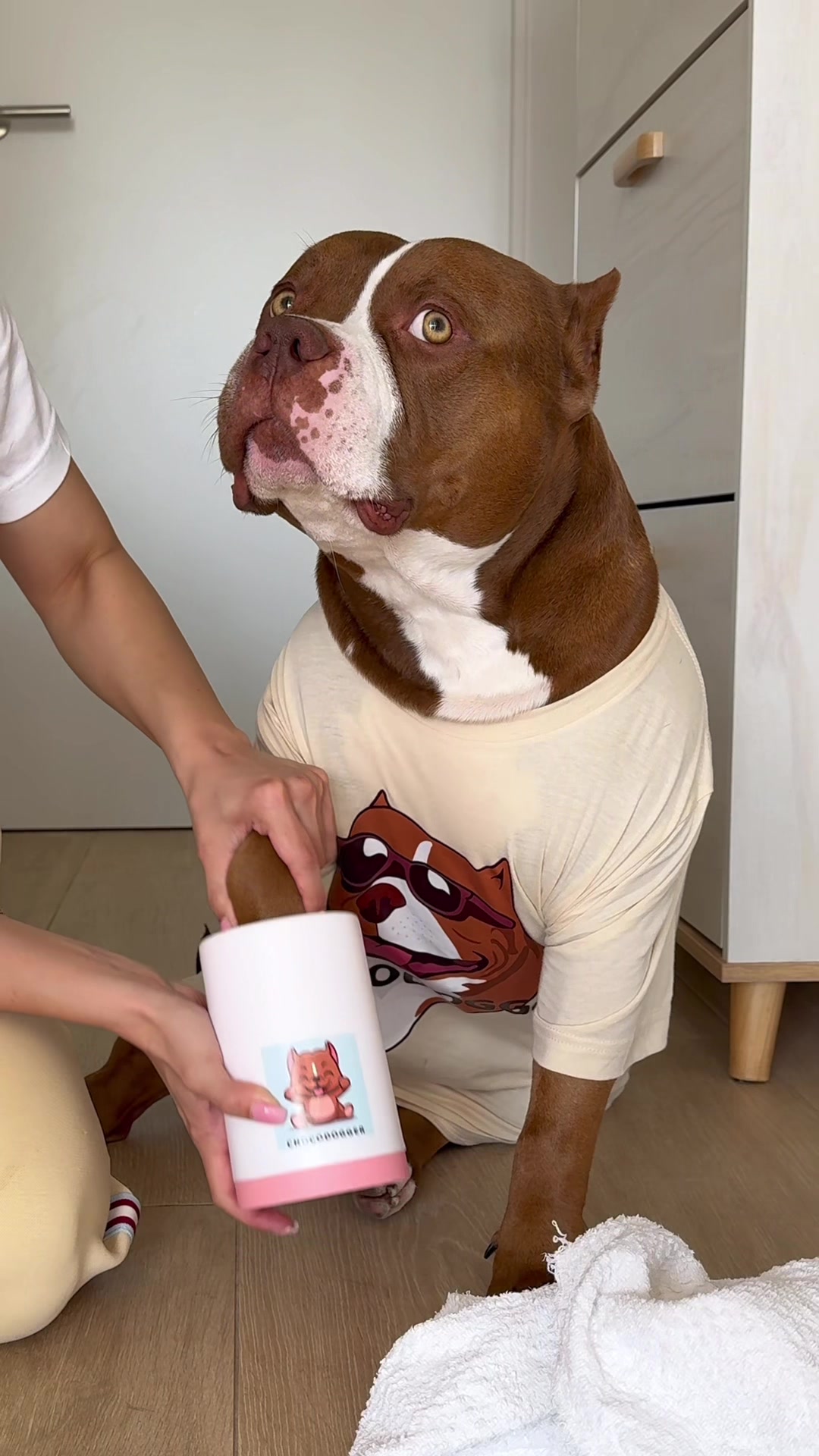 @Chocodogger