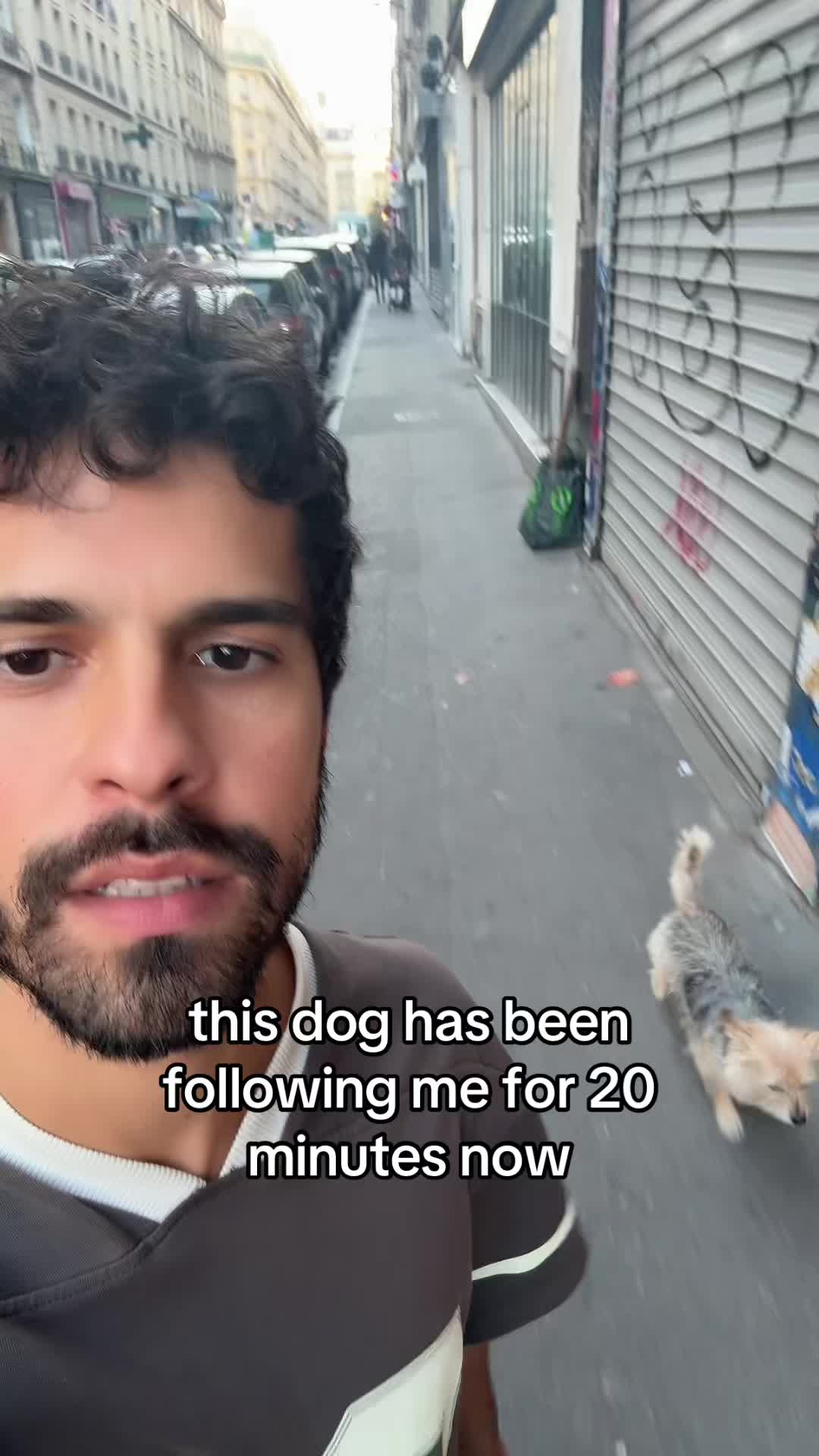 @notvictor