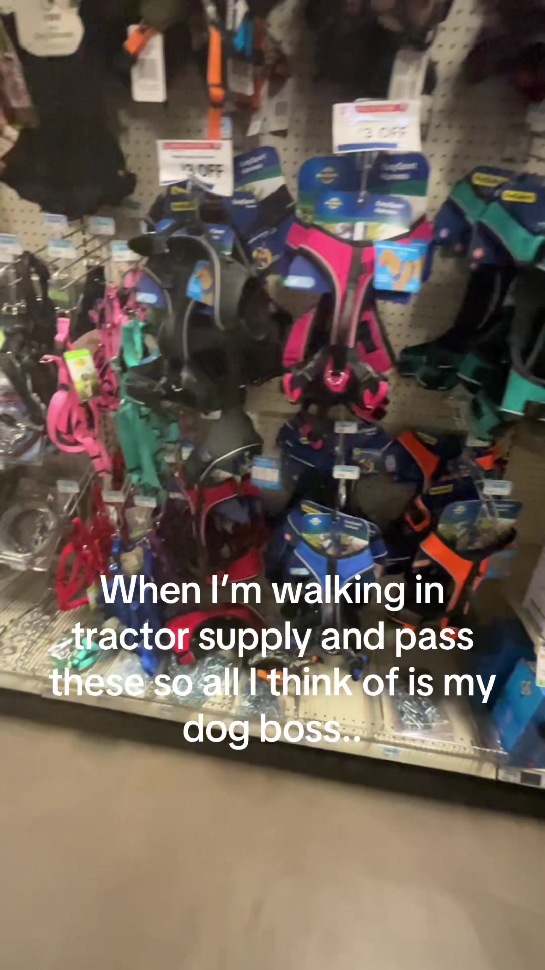 @Y0urfavmascl3$b1an
