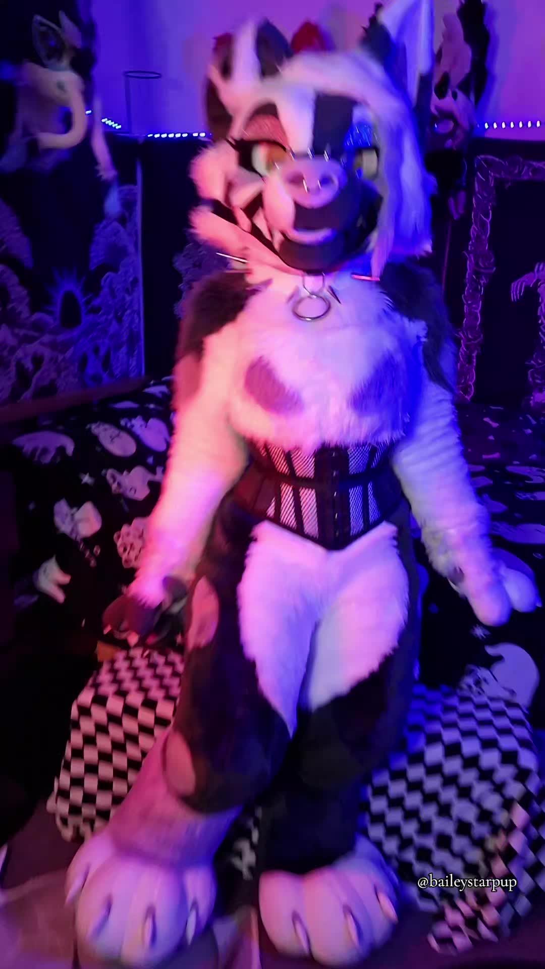@Bailey (lilpixiekitten)