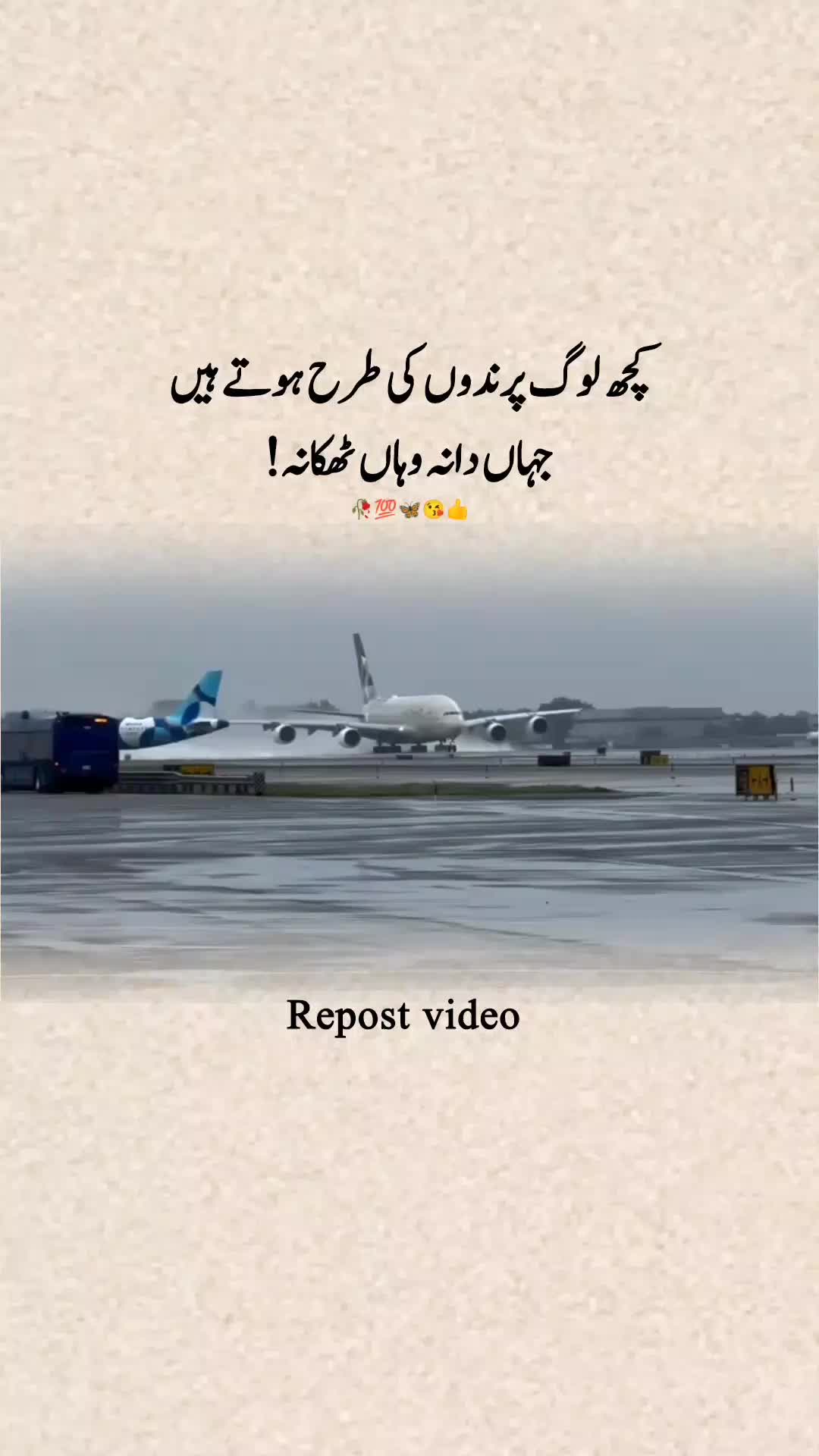 @𝑨𝒍𝒇𝒂𝒛_𝑬_𝑫𝒂𝒓𝒅😭