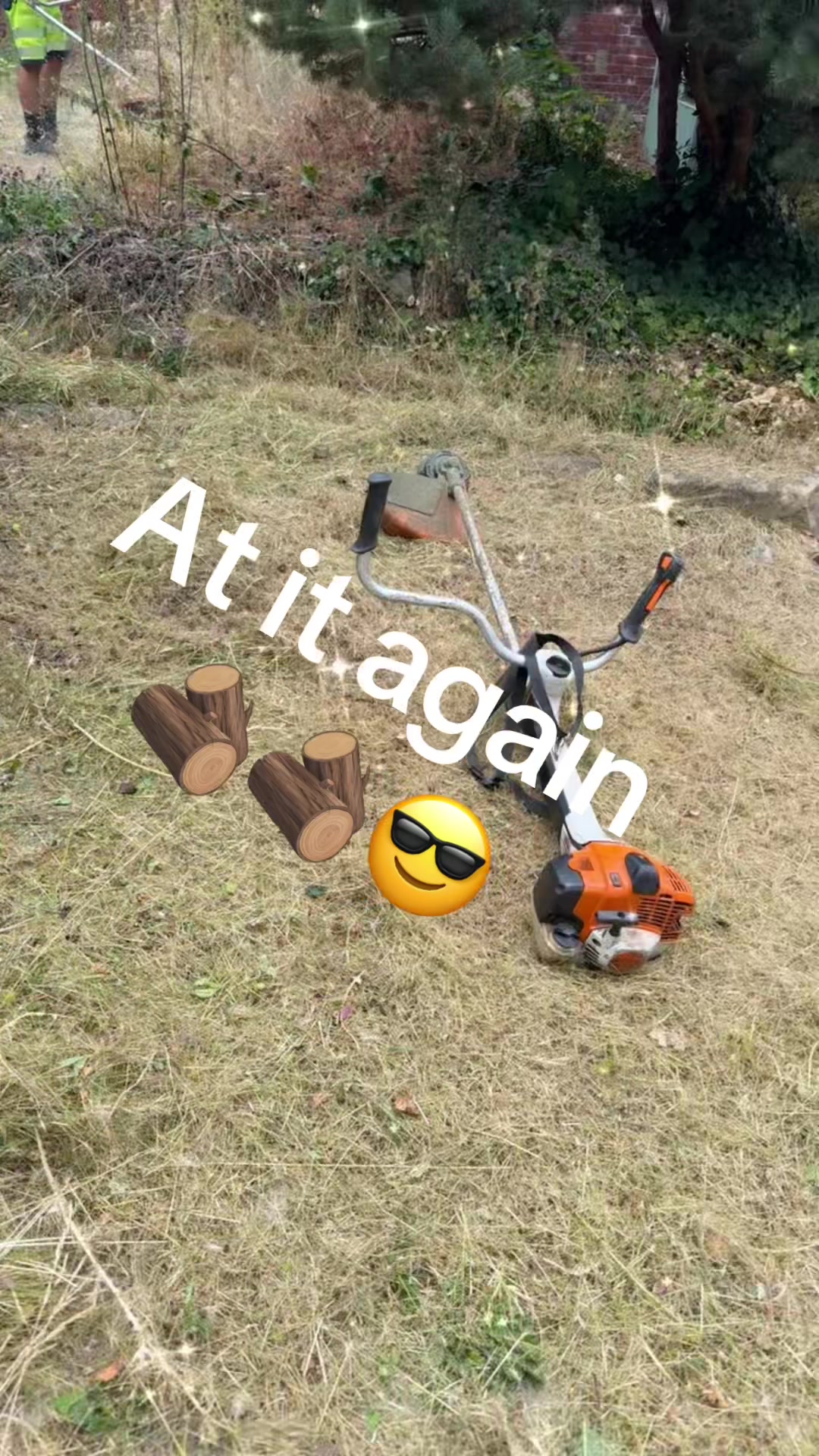 @global landscapes