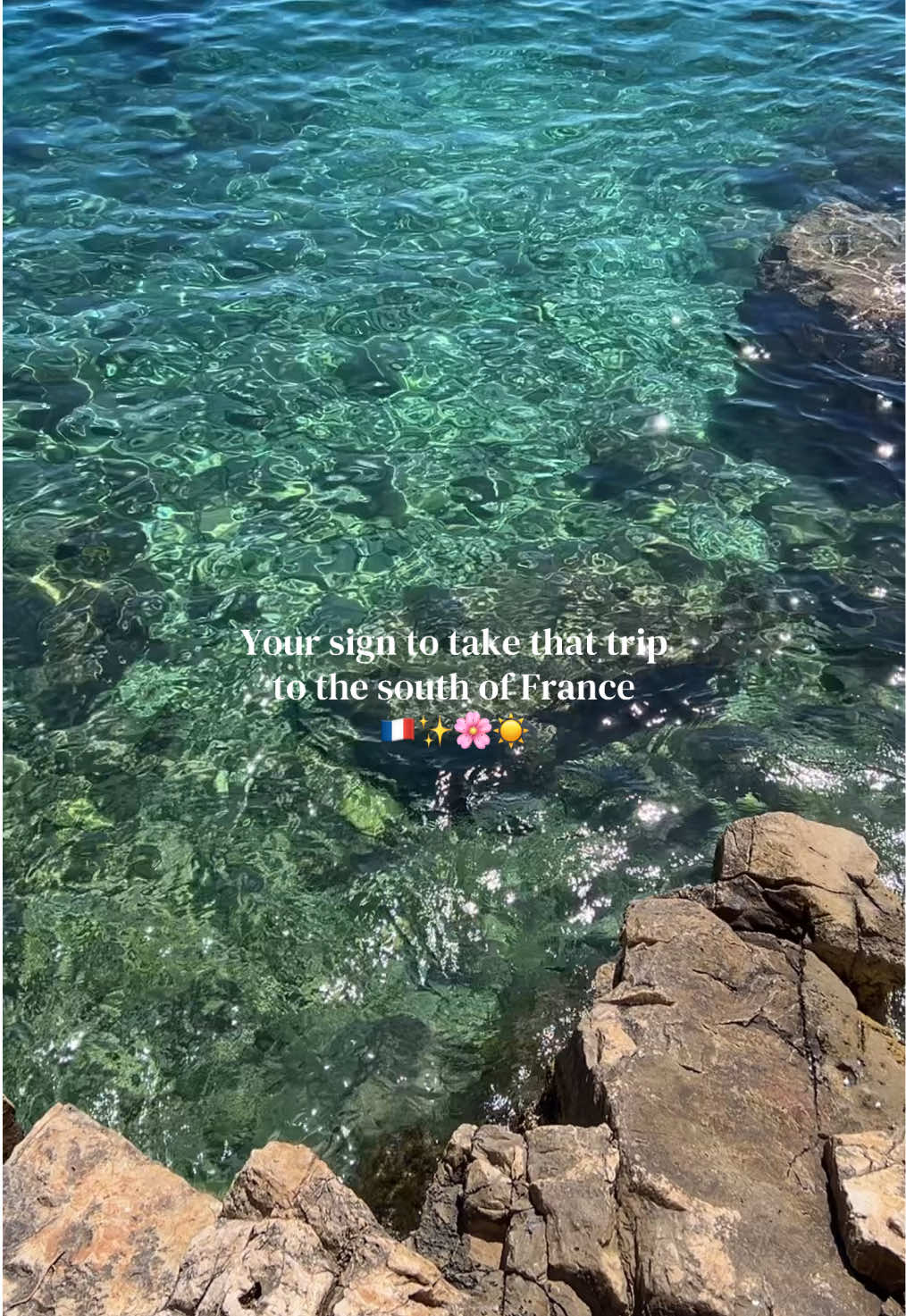 @carlasdigitaldiary