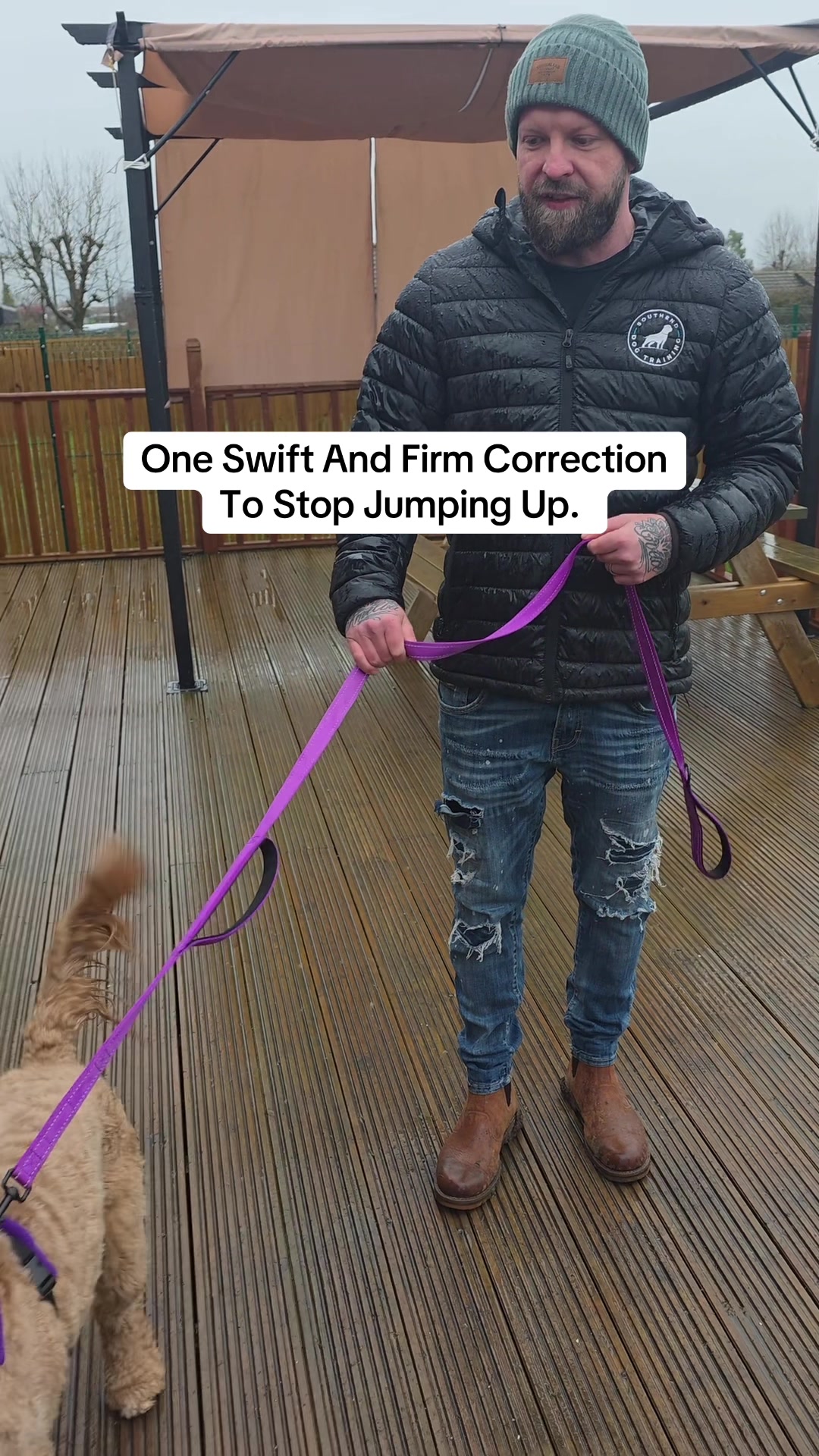 @SouthendDogTraining