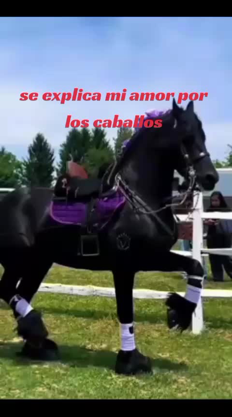 @jonathan@joncito
