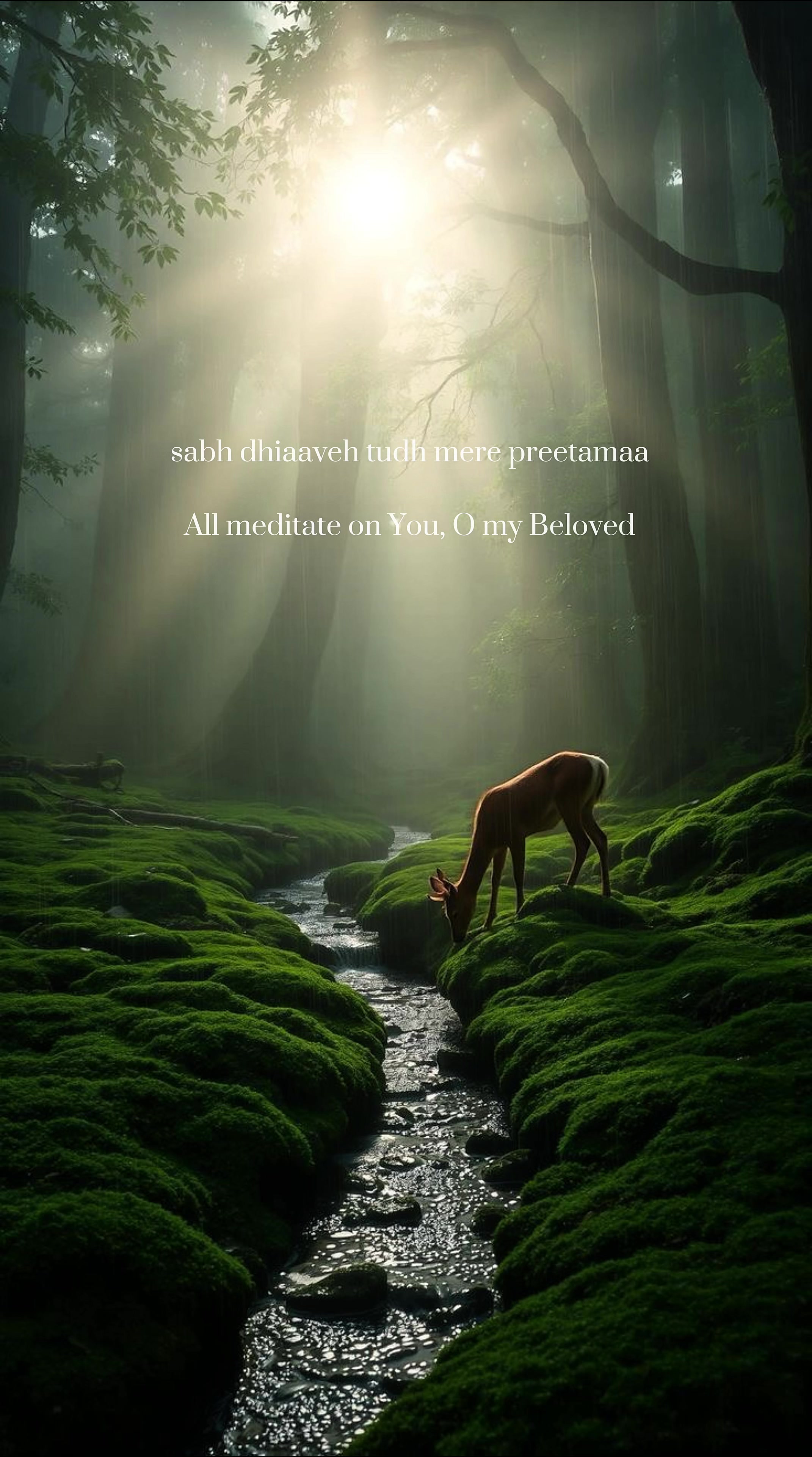 @Gurbani quotes