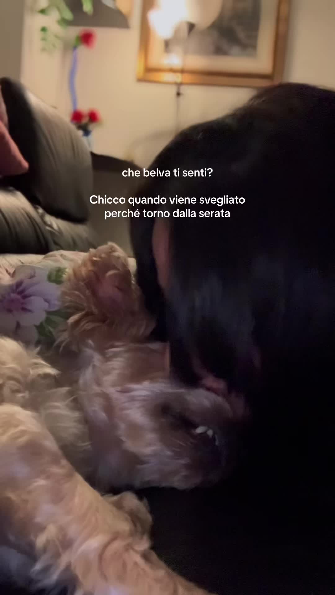 @deboramerighi