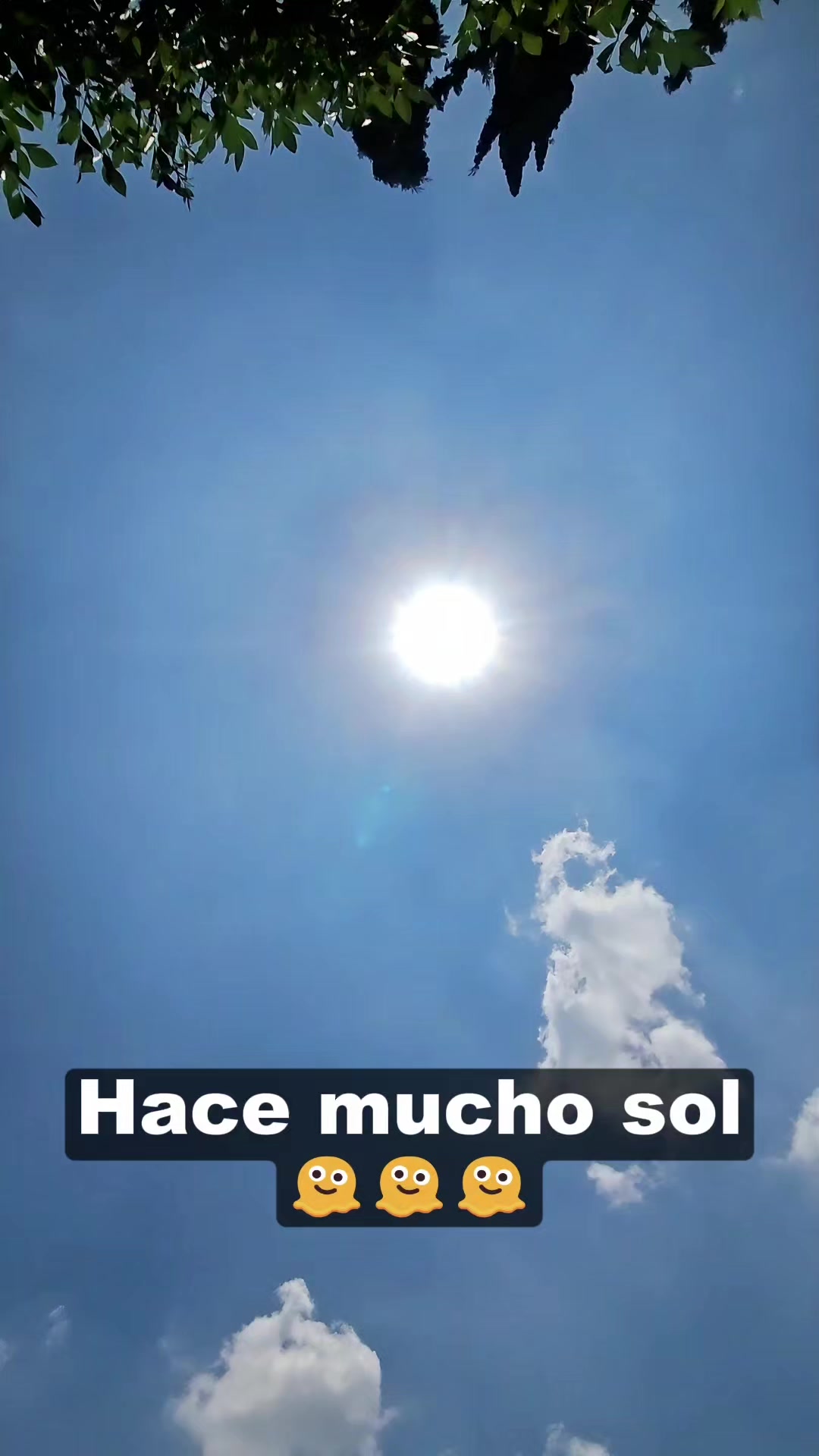 @Julian coreano