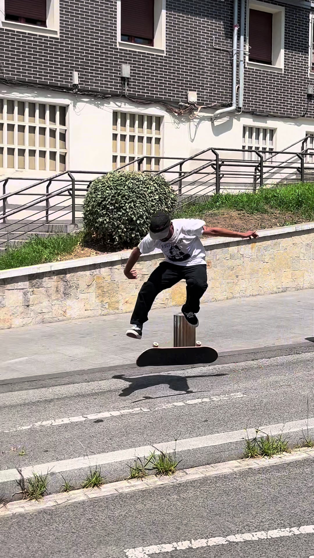 @Petshop Skateboards