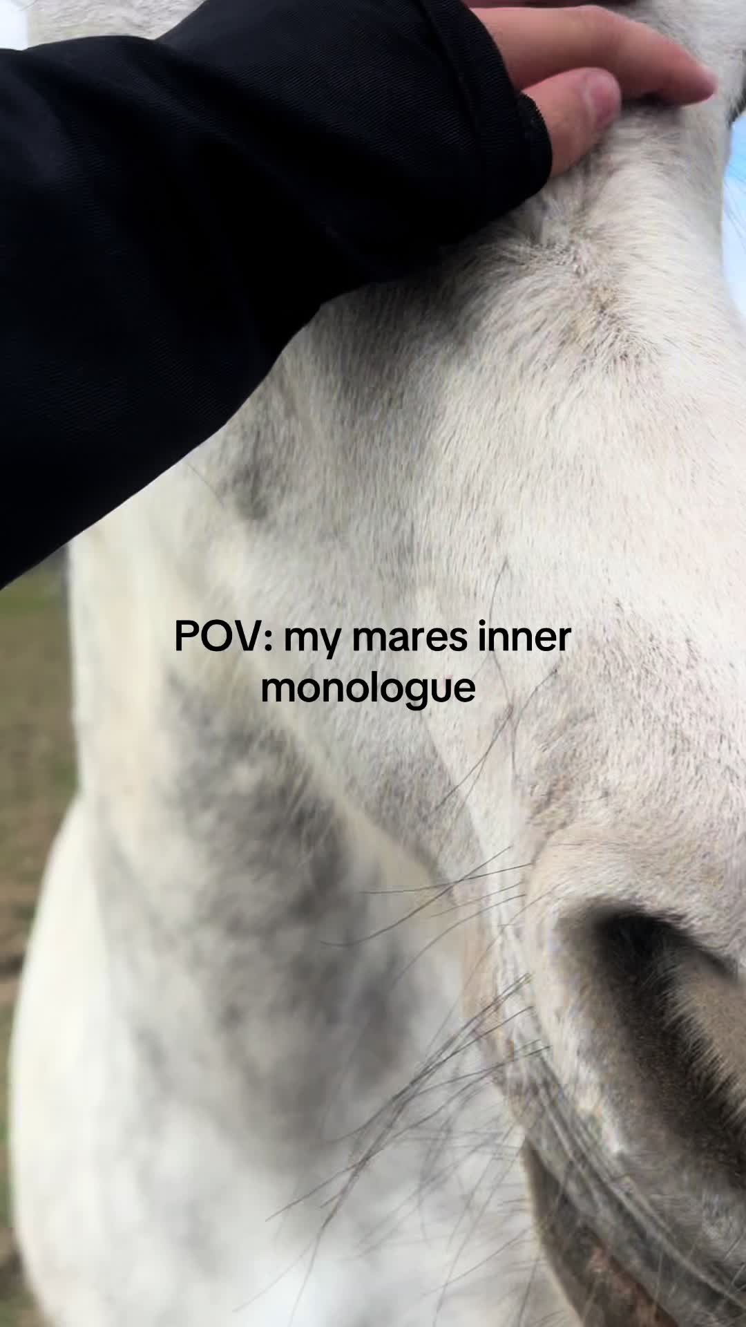 @poppy🐴 🇬🇧