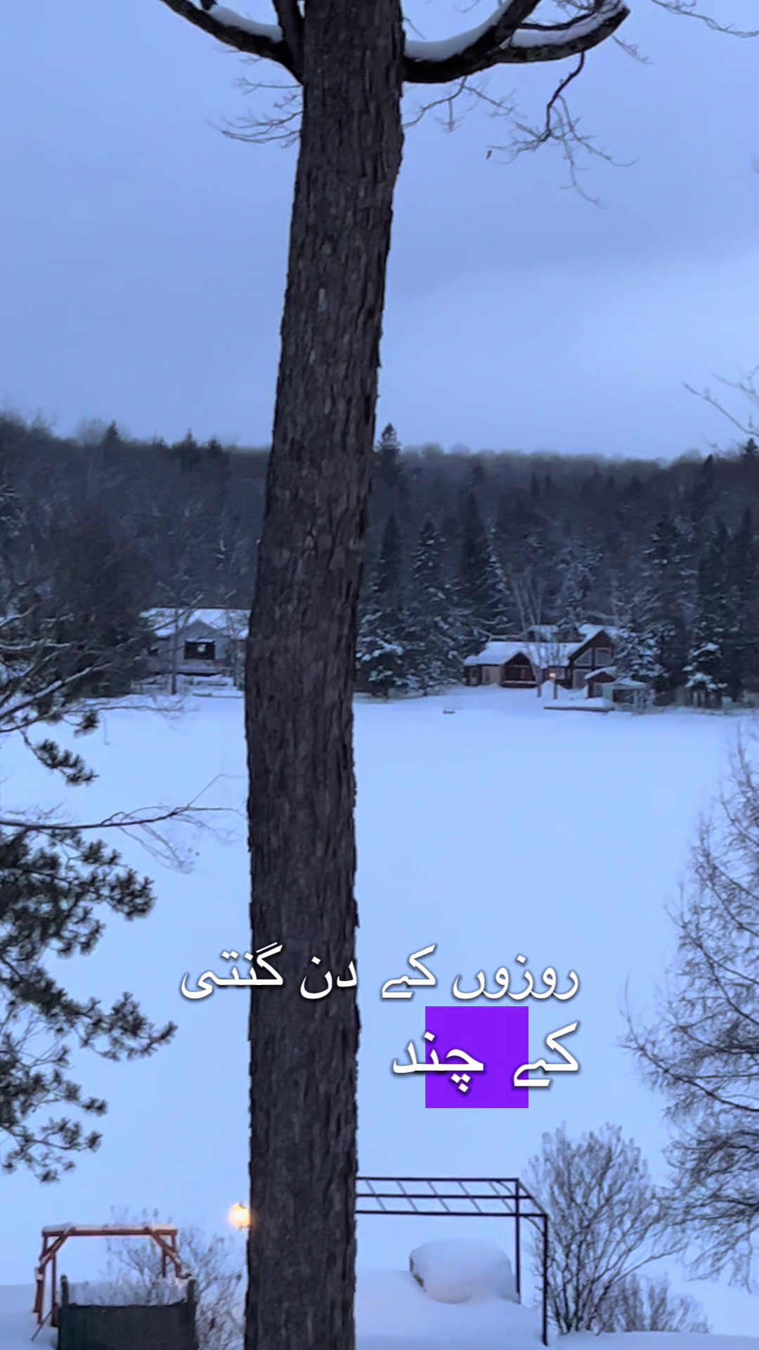 @Kamran