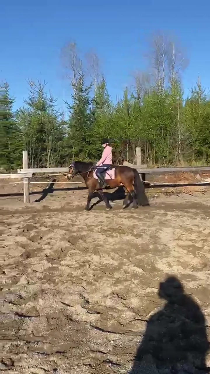 @Ponirannan talli🇫🇮🐎