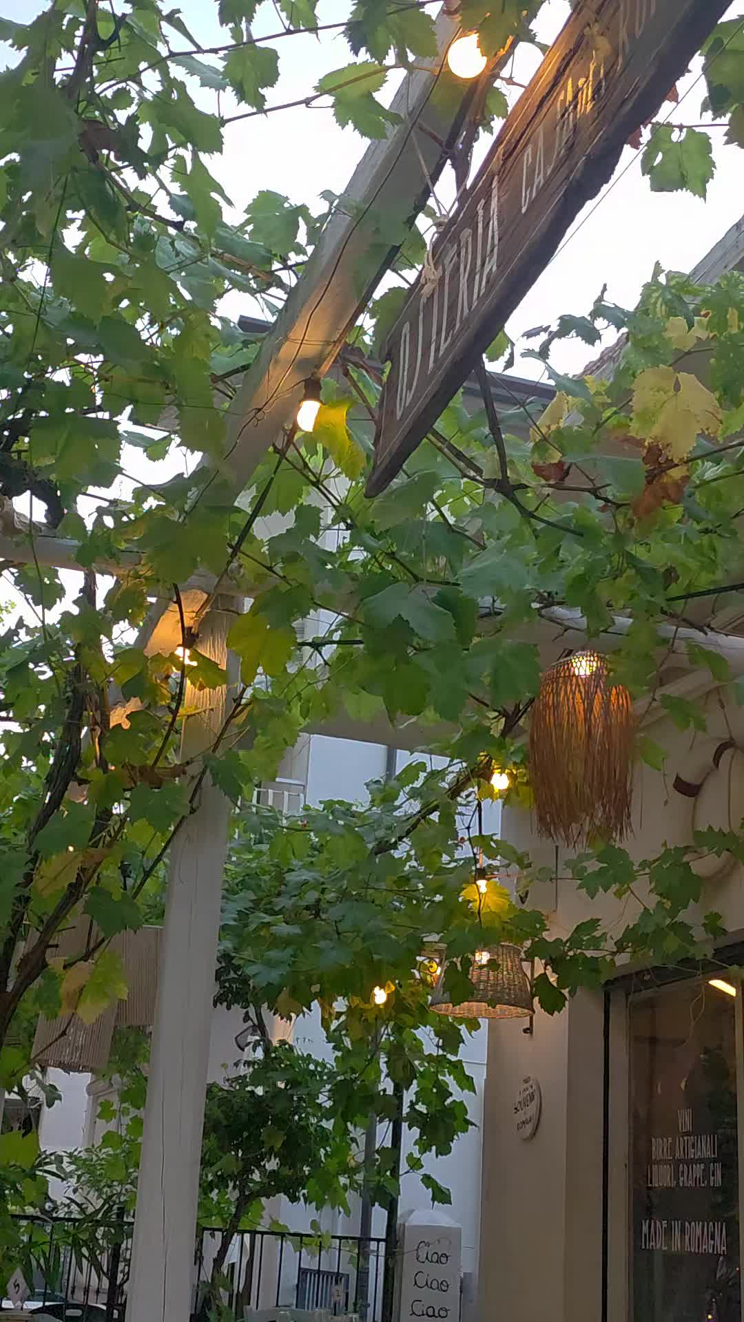 @🌶 ᖇOSᗩ ᒪᗩ ᒪEOᑎESSᗩ 🌶