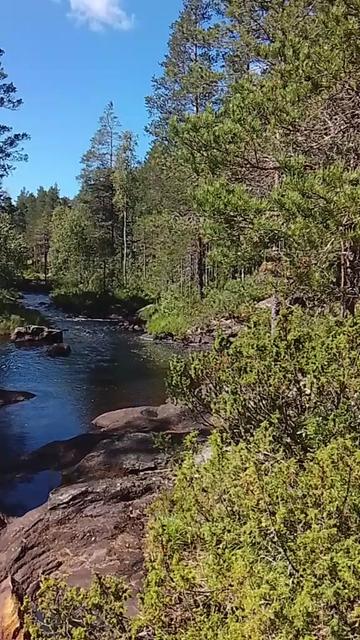 @🇸🇪 Romina♉Anka🇷🇴