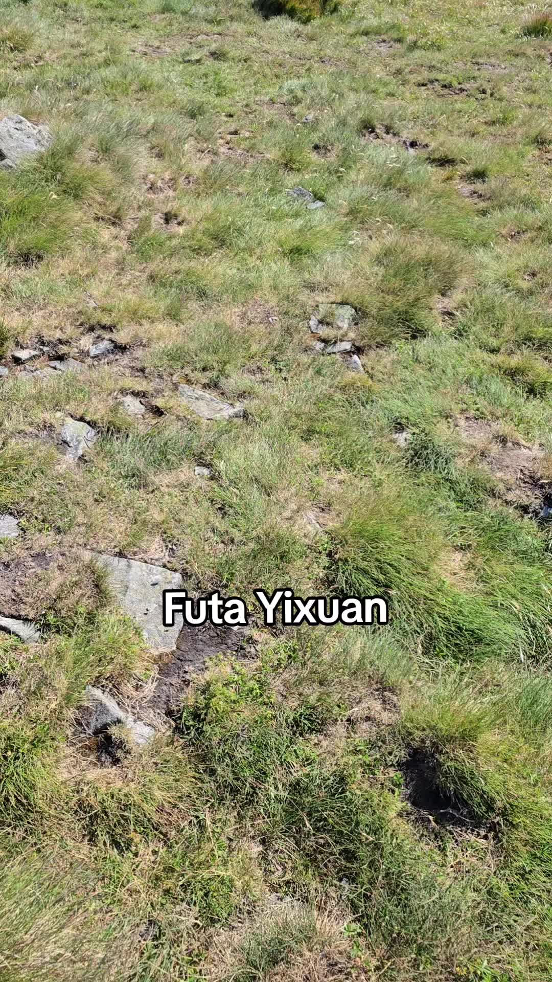 @Broke_Yixuan Lover