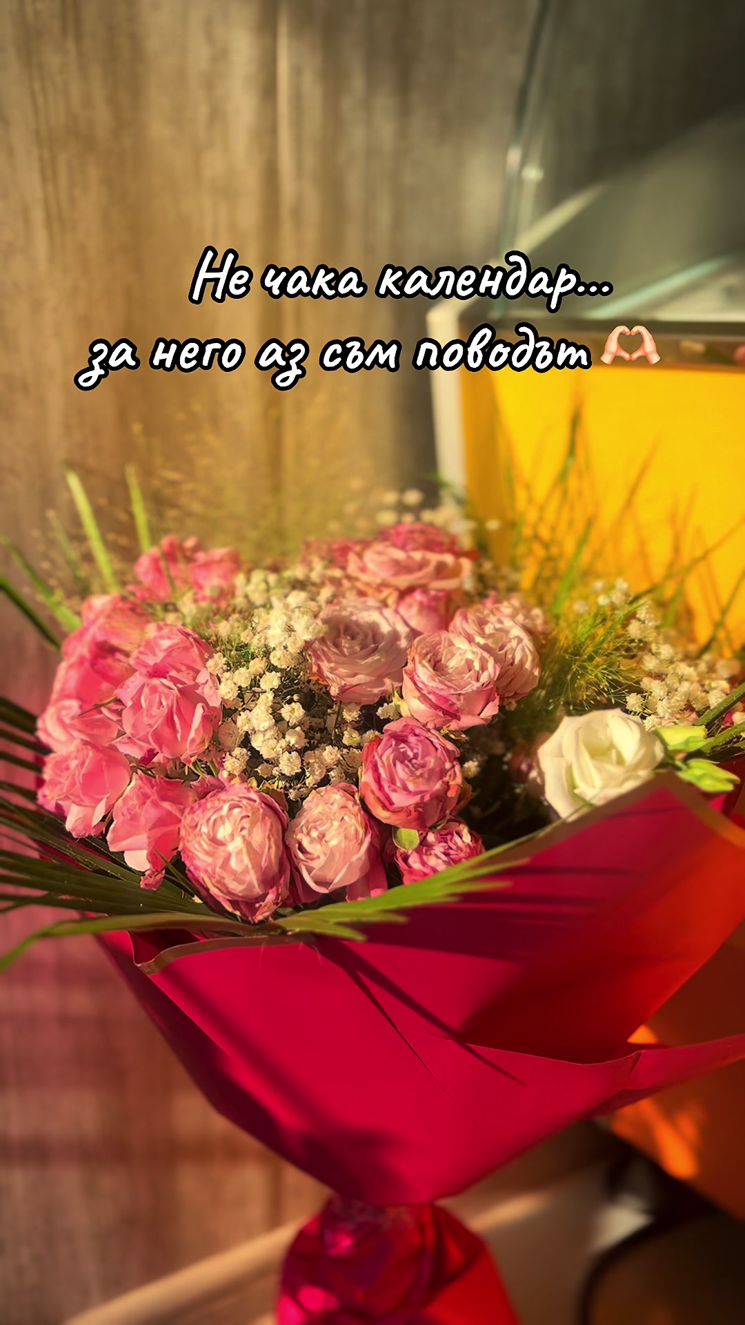 @Микаела Методиева