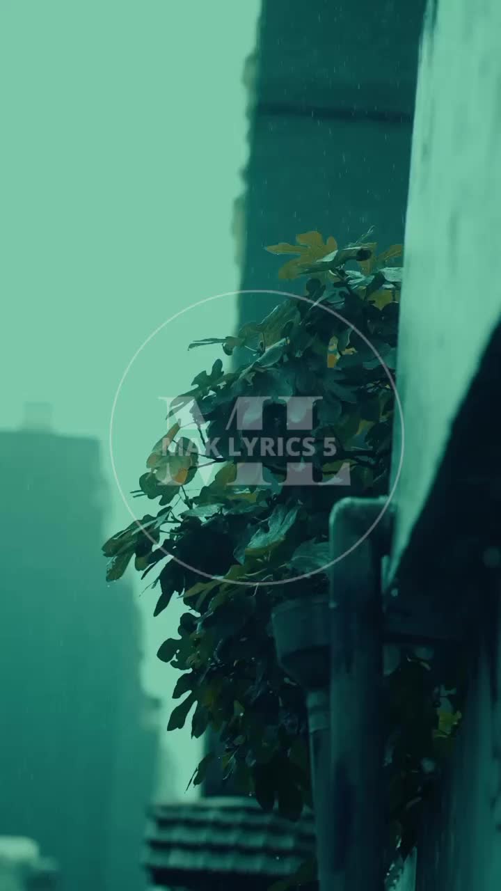 @MAK LYRICS 5 🎶