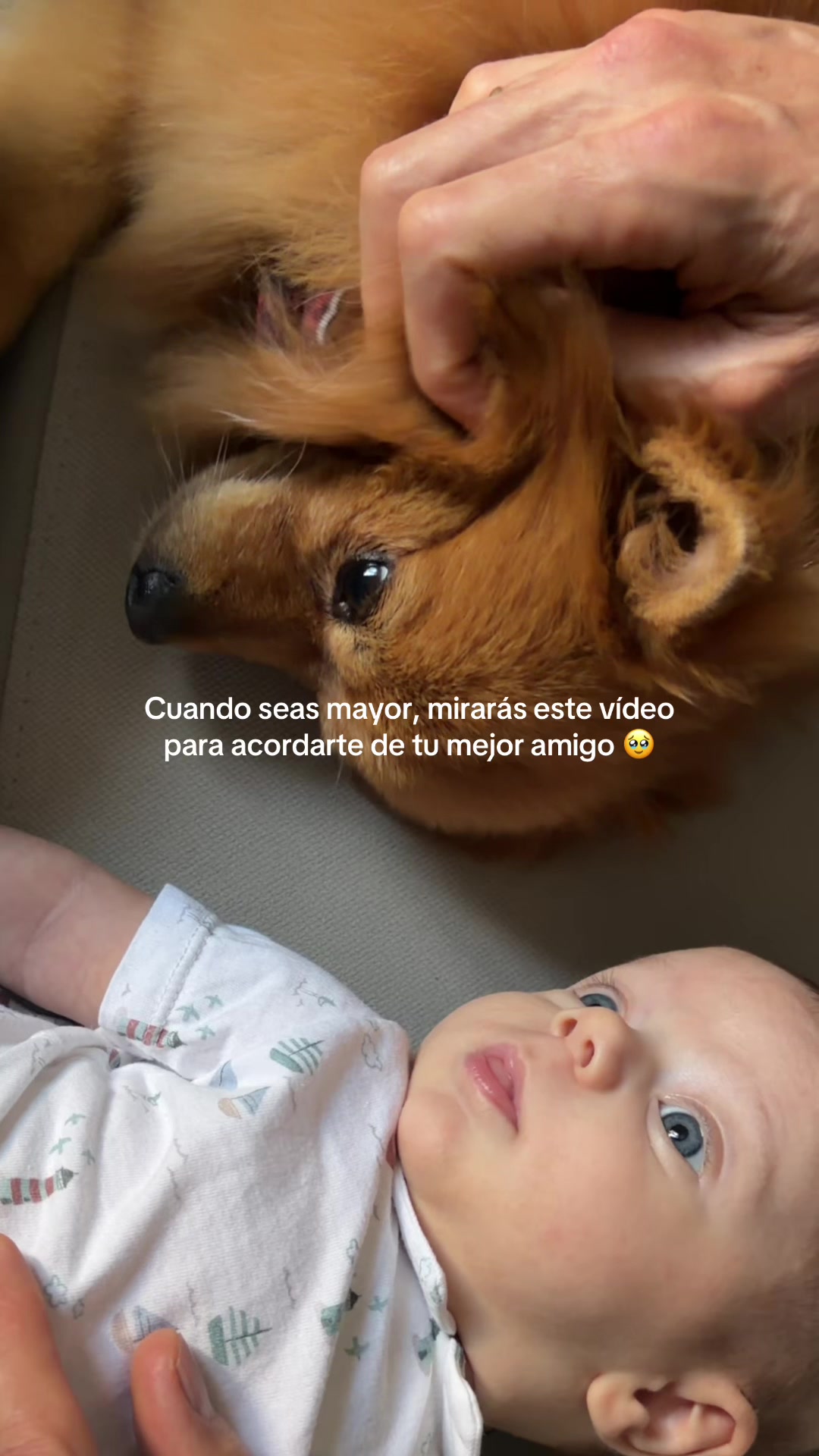 @Carmen Pina Maternidad