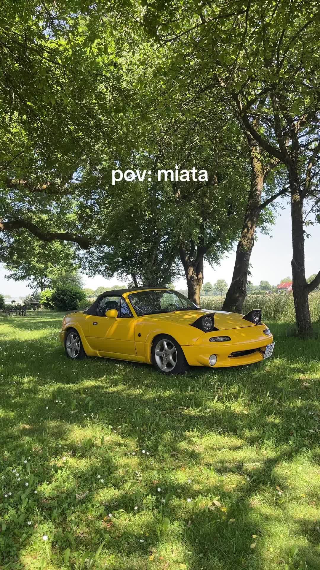 @kiiromiata