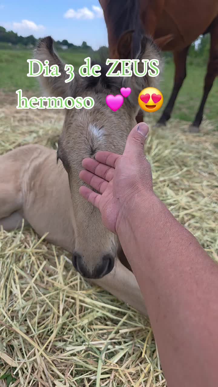 @@rinconlatino