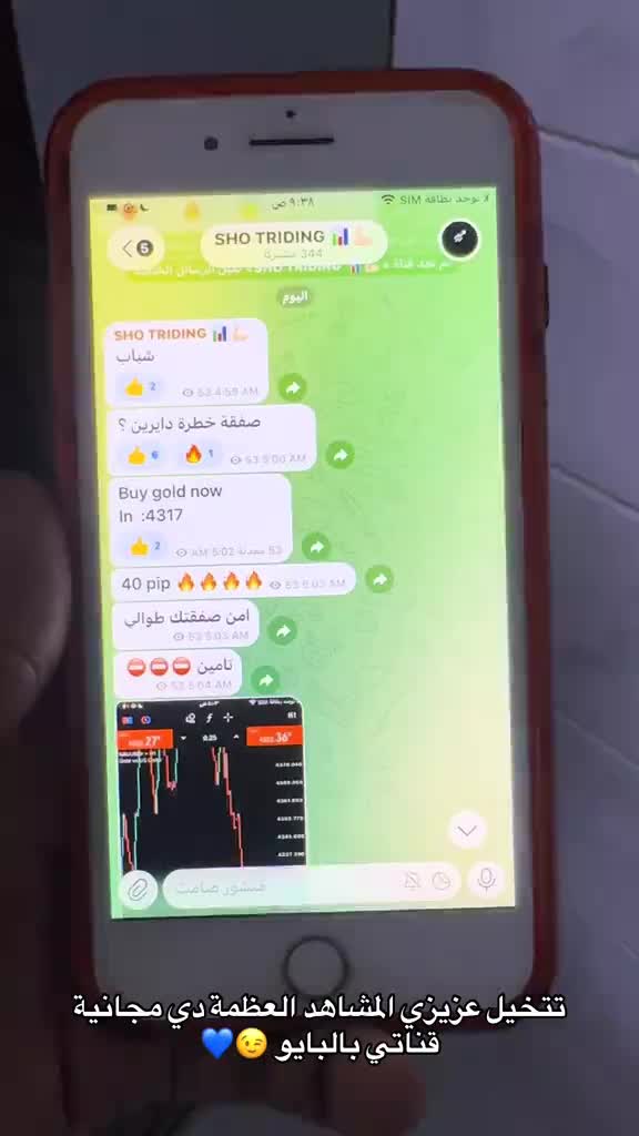 @Shoo Trading 📊💪