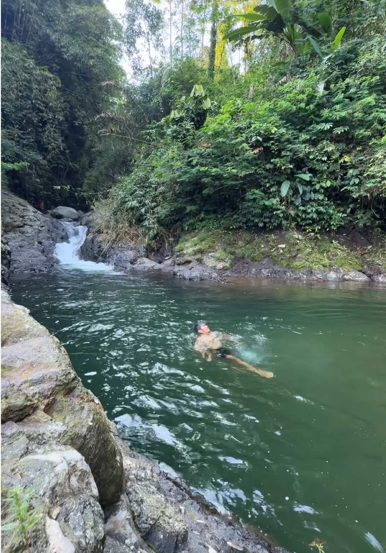 @Purbalingga