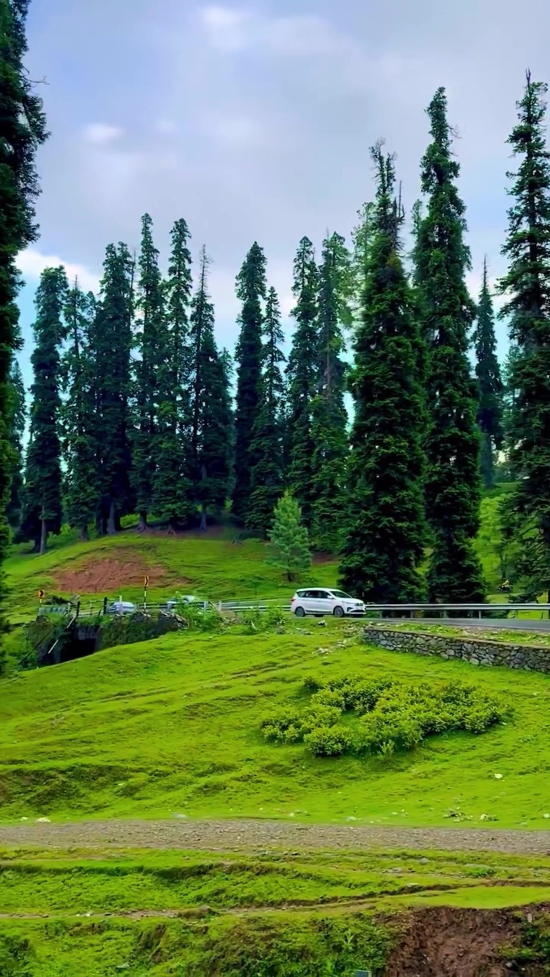 @World 🌍 beauty